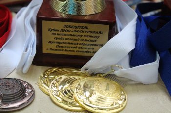 Настольный теннис.
