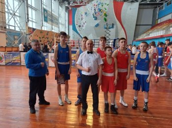 Соревнования по боксу