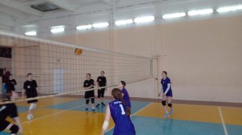 Соревнования по волейболу