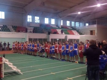 Первенство Пензенской обл. по боксу.