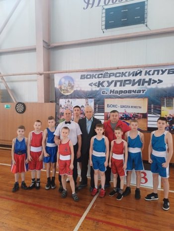 Соревнования по боксу
