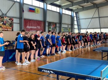 Соревнования по настольному теннису