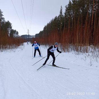 Соревнования по лыжным гонкам