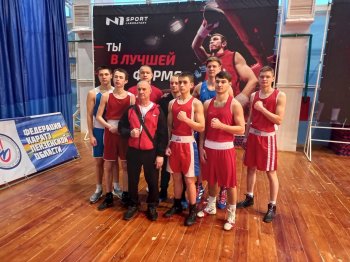 Первенство области по боксу