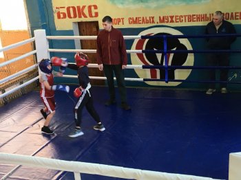 Товарищеская встреча по боксу.