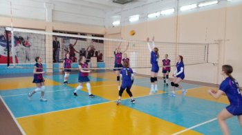 Соревнования по волейболу