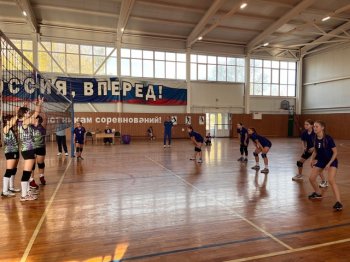 Соревнования по волейболу
