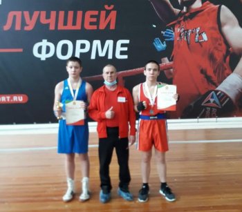 первенство Пензенской области по боксу