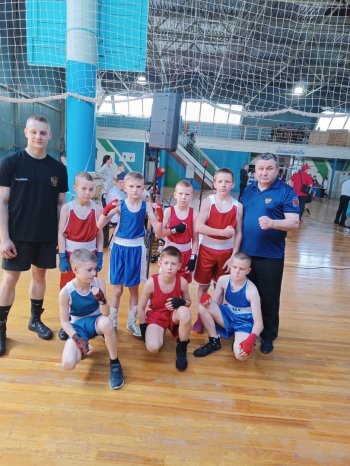 Соревнования по боксу