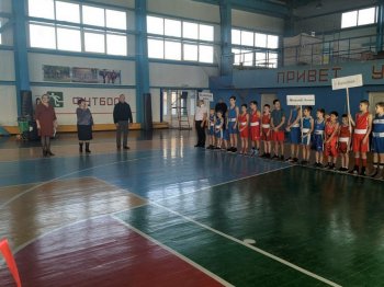 Открытое первенство Земетчинского района по боксу.