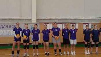 Соревнования по волейболу