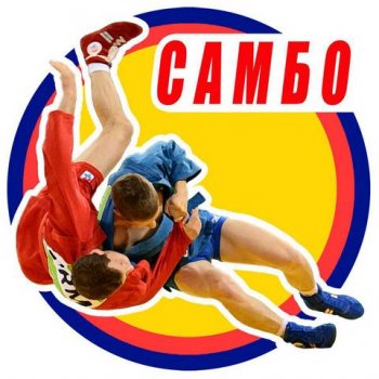Областные соревнования по самбо.
