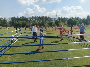 Соревнования по боксу