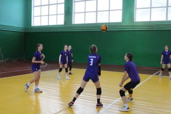 Соревнования по волейболу